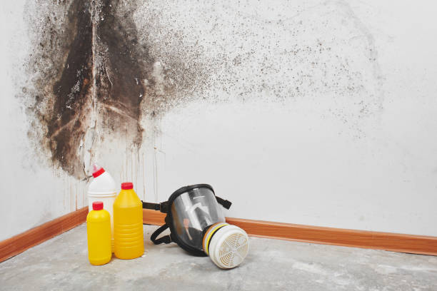 Best Crawl Space Mold Removal  in North Liberty, IN