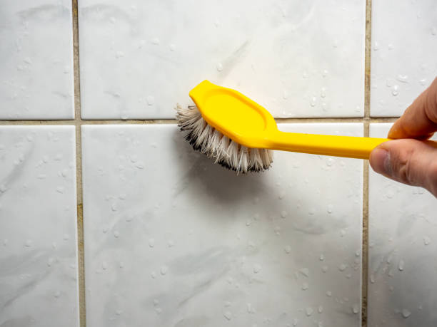 Best Emergency Mold Removal  in North Liberty, IN