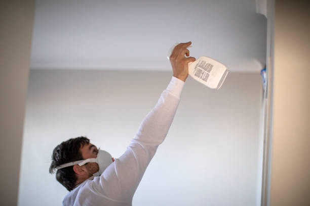 Best Attic Mold Removal  in North Liberty, IN